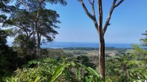 188755 – OCEAN VIEW PROPERTY WITH BUILDING SITES AND LEGAL WATER IN HATILLO DOMINICAL CR (23)