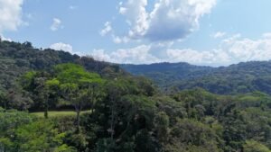 188755 – OCEAN VIEW PROPERTY WITH BUILDING SITES AND LEGAL WATER IN HATILLO DOMINICAL CR (25)