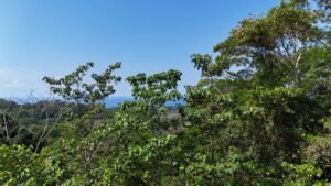 188755 – OCEAN VIEW PROPERTY WITH BUILDING SITES AND LEGAL WATER IN HATILLO DOMINICAL CR (26)