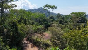 188755 – OCEAN VIEW PROPERTY WITH BUILDING SITES AND LEGAL WATER IN HATILLO DOMINICAL CR (27)