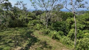 188755 – OCEAN VIEW PROPERTY WITH BUILDING SITES AND LEGAL WATER IN HATILLO DOMINICAL CR (29)