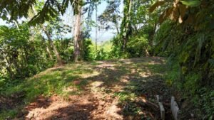 188755 – OCEAN VIEW PROPERTY WITH BUILDING SITES AND LEGAL WATER IN HATILLO DOMINICAL CR (3)