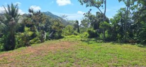 188755 – OCEAN VIEW PROPERTY WITH BUILDING SITES AND LEGAL WATER IN HATILLO DOMINICAL CR (30)
