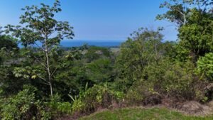 188755 – OCEAN VIEW PROPERTY WITH BUILDING SITES AND LEGAL WATER IN HATILLO DOMINICAL CR (4)
