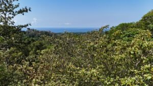 188755 – OCEAN VIEW PROPERTY WITH BUILDING SITES AND LEGAL WATER IN HATILLO DOMINICAL CR (5)