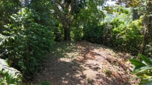 188755 – OCEAN VIEW PROPERTY WITH BUILDING SITES AND LEGAL WATER IN HATILLO DOMINICAL CR (8)