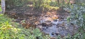 188755 – OCEAN VIEW PROPERTY WITH BUILDING SITES AND LEGAL WATER IN HATILLO DOMINICAL CR (9)