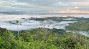 188834- OCEAN VIEW RETREAT NEAR OJOCHAL (16)