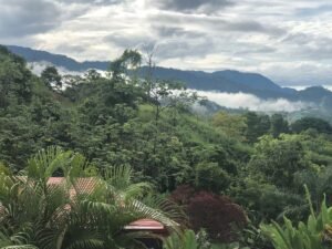 189116 – 4 bedroom ocean view home (2)