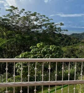 189116 – 4 bedroom ocean view home (2)