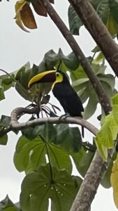 189116 – 4 bedroom ocean view home (5)