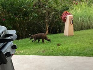 189116 – 4 bedroom ocean view home (6)