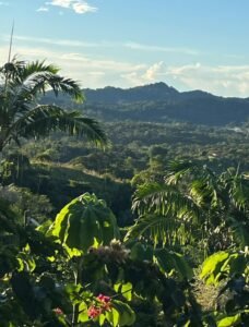 189116 – 4 bedroom ocean view home (8)