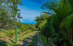 189206 – 3 bedroom ocean view home in Uvita (23)