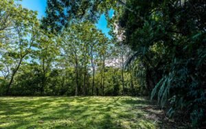 189206 – 3 bedroom ocean view home in Uvita (42)