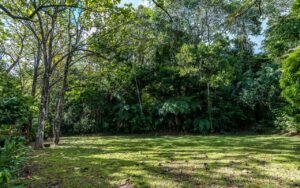 189206 – 3 bedroom ocean view home in Uvita (45)