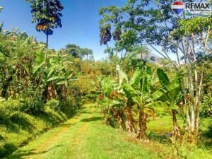 20 (1) House-for-sale-in-costa-rica