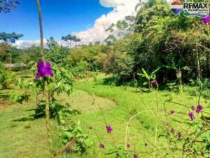 20 (2) House-for-sale-in-costa-rica