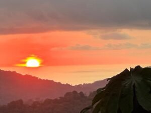 3 bedroom home in tinamastes (11)