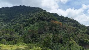 3 bedroom home in tinamastes (3)