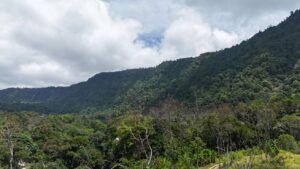 3 bedroom home in tinamastes (4)