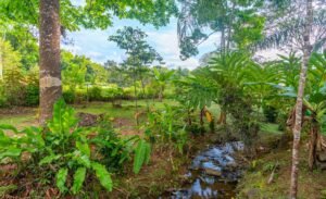 4 BEDROOM VILLA CREEK IN OJOCHAL (8)