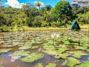 7 House-for-sale-in-costa-rica