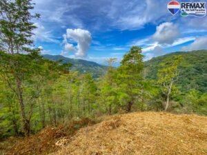 Land-for-sale-in-Costa-Rica 1 (20)