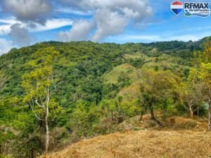 Land-for-sale-in-Costa-Rica 1 (21)