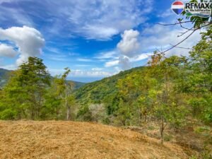 Land-for-sale-in-Costa-Rica 1 (22)