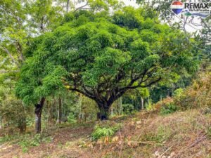 Land-for-sale-in-Costa-Rica 1 (23)