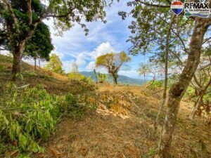 Land-for-sale-in-Costa-Rica 1 (25)