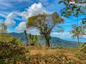 Land-for-sale-in-Costa-Rica 1 (26)