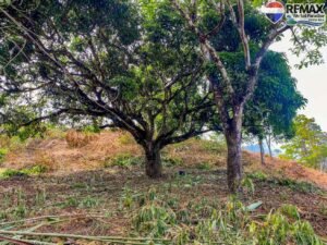 Land-for-sale-in-Costa-Rica 1 (27)