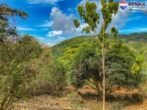 Land-for-sale-in-Costa-Rica 1 (28)