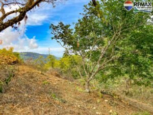 Land-for-sale-in-Costa-Rica 1 (30)