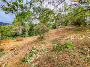 Land-for-sale-in-Costa-Rica 1 (31)