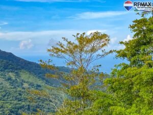 Land-for-sale-in-Costa-Rica 1 (32)