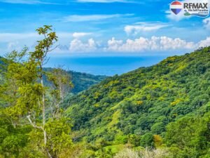 Land-for-sale-in-Costa-Rica 1 (33)
