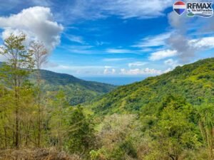 Land-for-sale-in-Costa-Rica 1 (34)