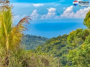 Land-for-sale-in-Costa-Rica 1 (35)