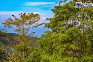 Land-for-sale-in-Costa-Rica 1 (37)