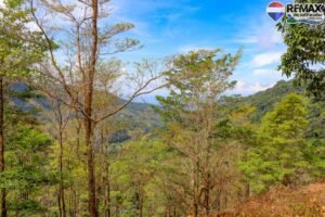 Land-for-sale-in-Costa-Rica 1 (38)
