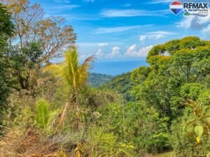 Land-for-sale-in-Costa-Rica 1 (39)
