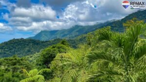 Ocean Sunsets in Tropical Costa Rica – 3-Bed Dream Home For Sale 30 (12)