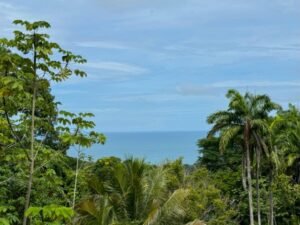 Ocean view lot in Dominical Costa Rica (11)