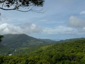 Ocean view lot in Dominical Costa Rica (14)
