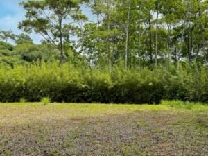 Ocean view lot in Dominical Costa Rica (15)