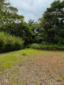 Ocean view lot in Dominical Costa Rica (17)