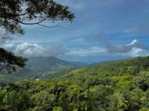 Ocean view lot in Dominical Costa Rica (18)